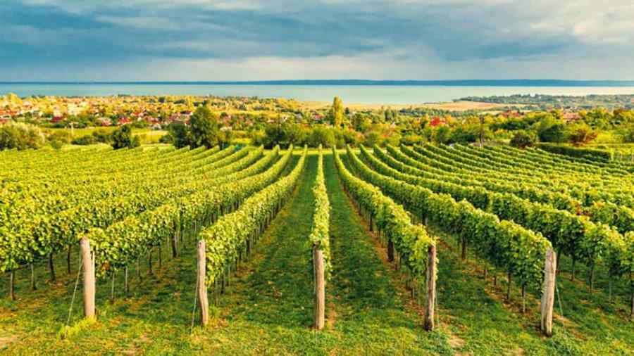 Silver Delux Apartman Balatonfüred Εξωτερικό φωτογραφία